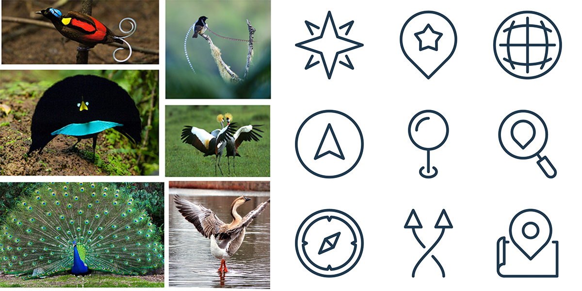 photos of various birds and map icons