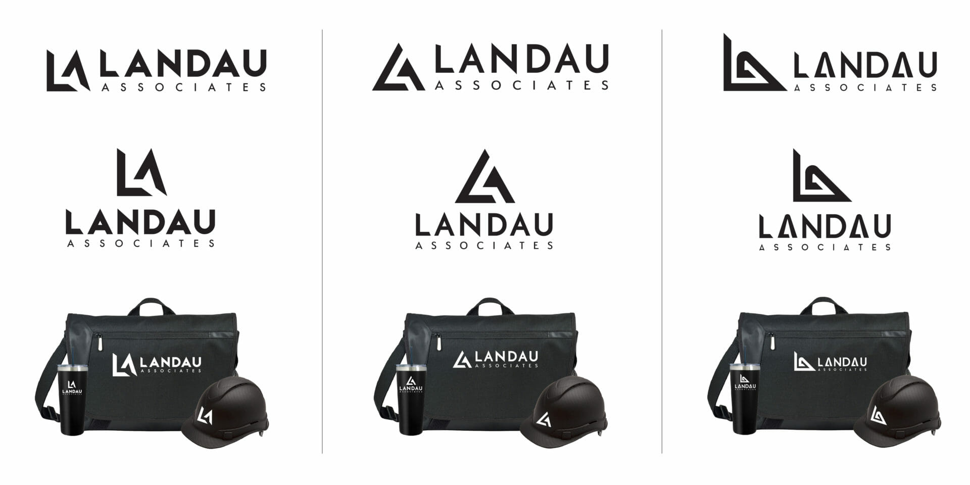 Landau Associates logo concetps